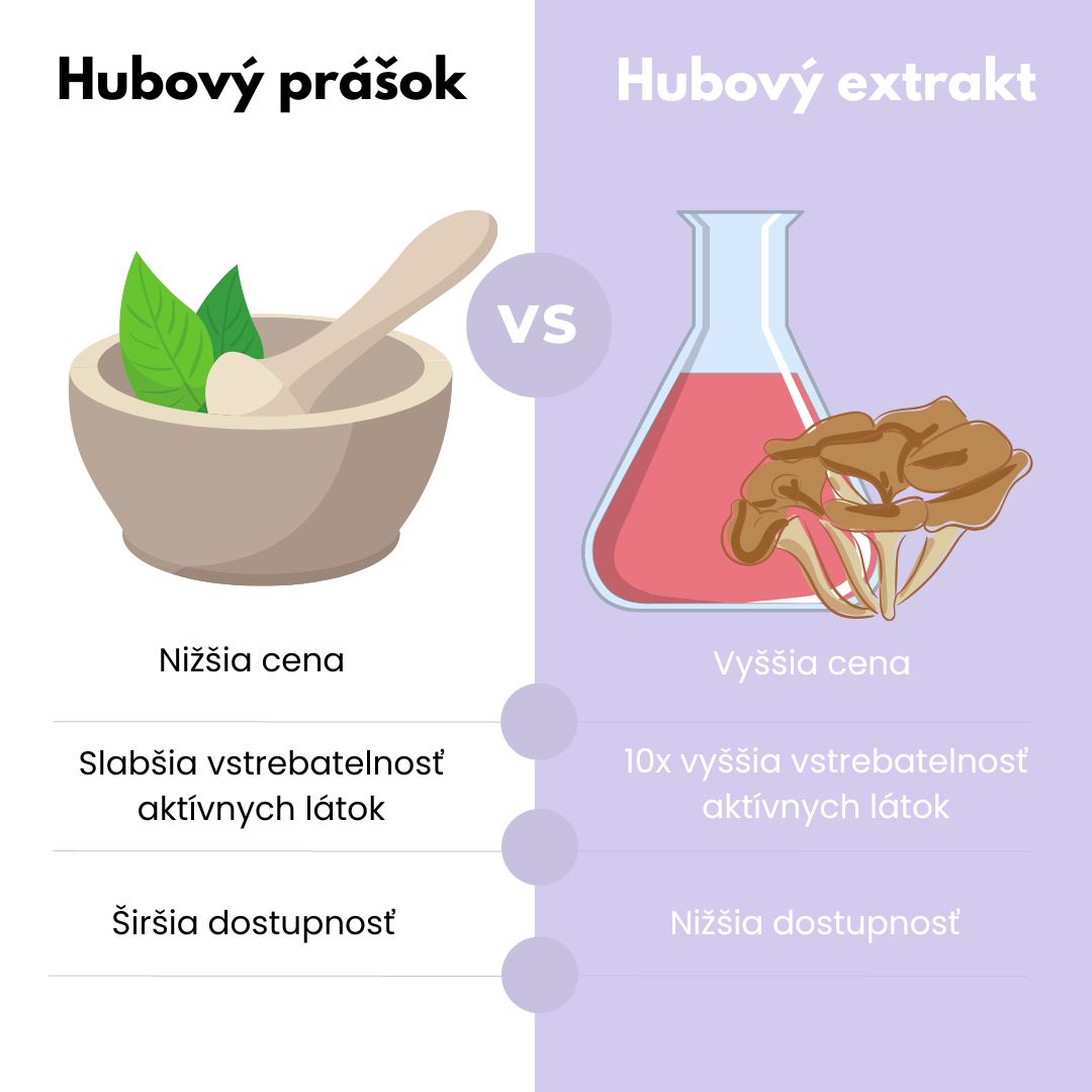 Maitake hubový prášok vs extrakt